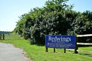 Visit Norfolk | Redwings Horse Sanctuary Caldicott (ID 8394)