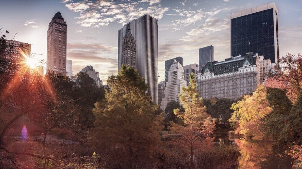 Taking a Family-Sized Bite of the Big Apple: Fun Days Out in New York