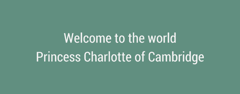 A close up of a logo