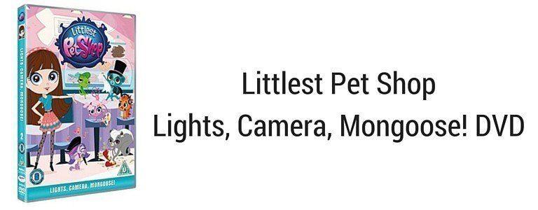 A close up of a piece of paper