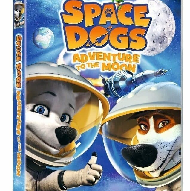 A person wearing a costume