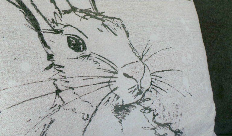 A close up of a piece of paper