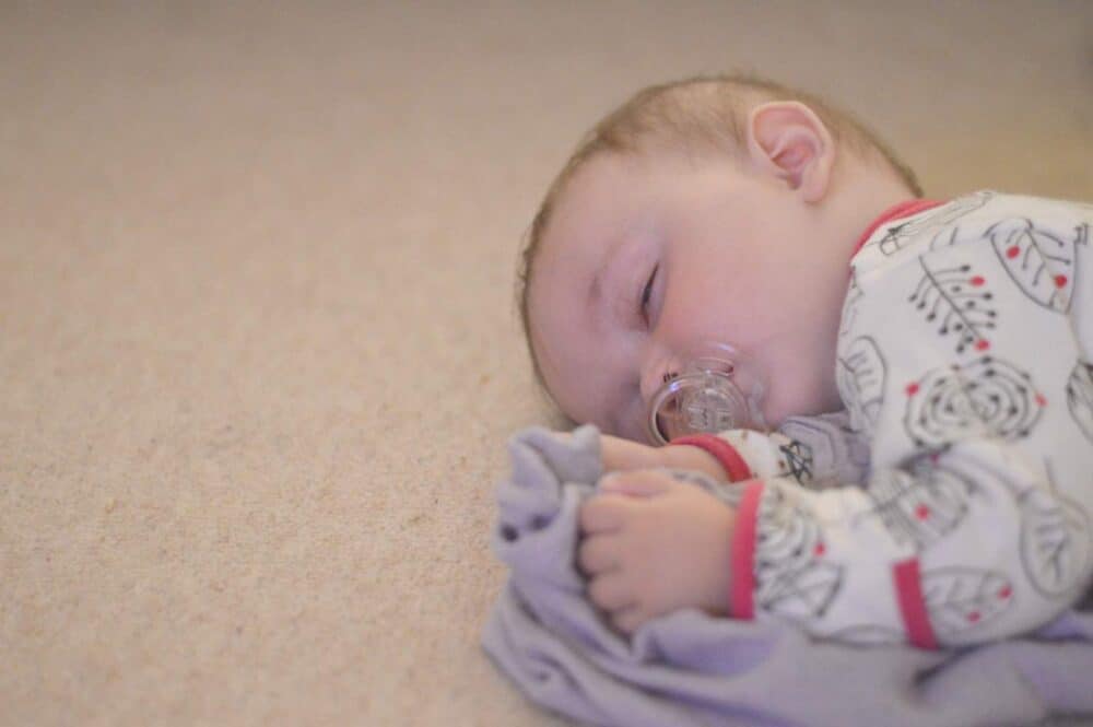 Piglet – Nine Months