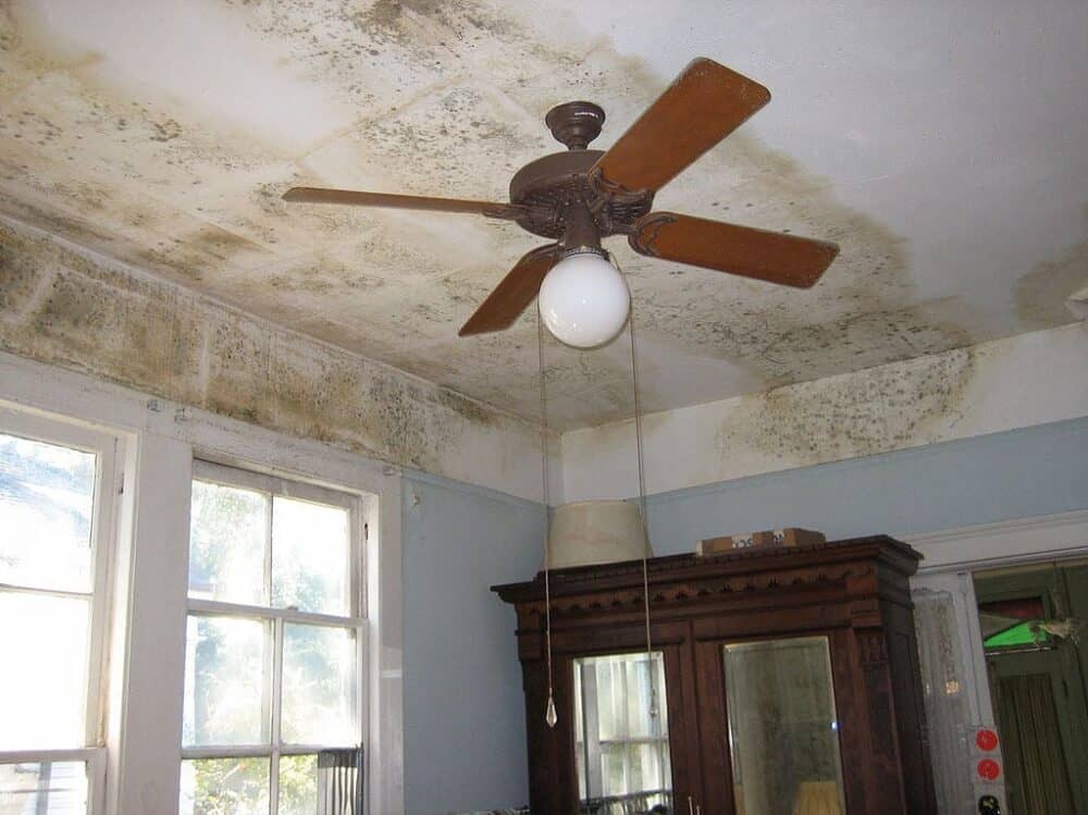 5 Things Homeowners Dread Happening In Their Property (And Ways To Prevent Them!)