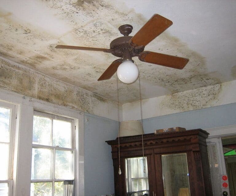 A room filled with furniture and a large window