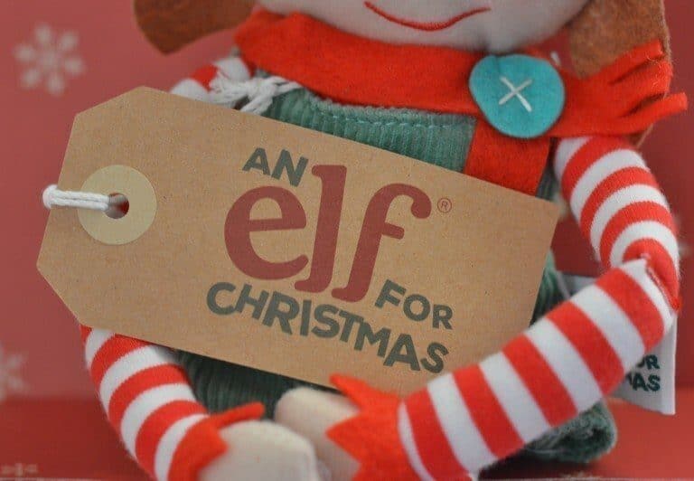 A teddy bear wearing a hat