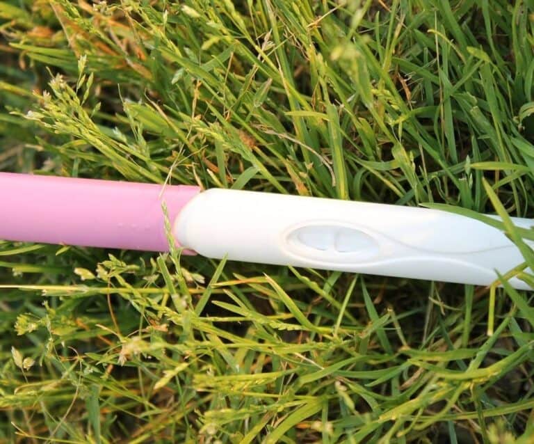 A knife sitting on top of a grass covered field