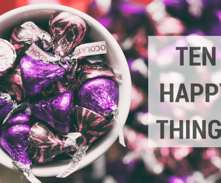 A close up of a flower