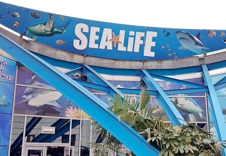 Birmingham and Sea Life
