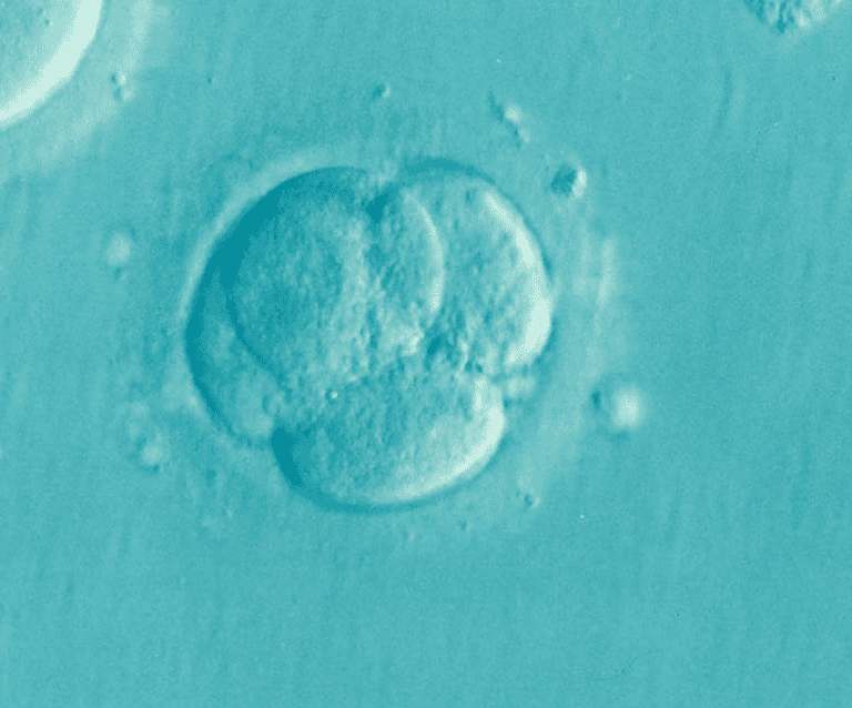 A close up of a sign