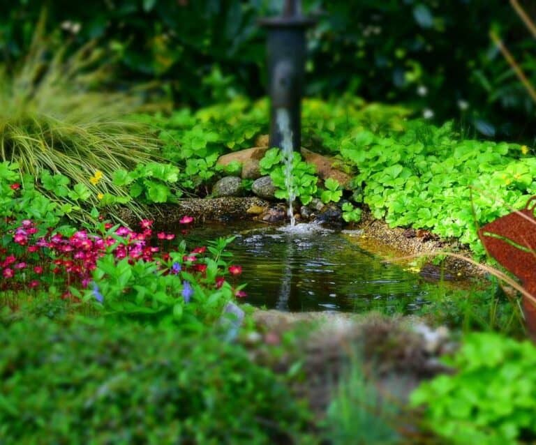 A close up of a flower garden