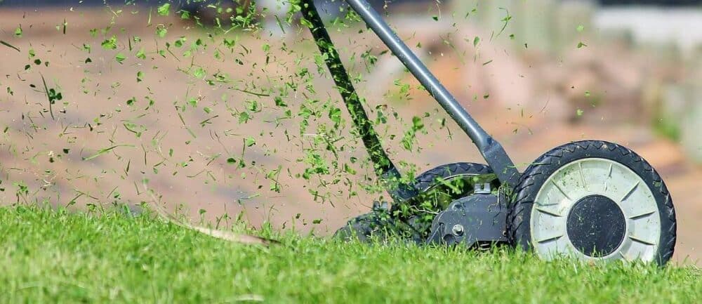 Beautify Your Yard: Time and Money Saving Landscaping Tips for Busy Homeowners