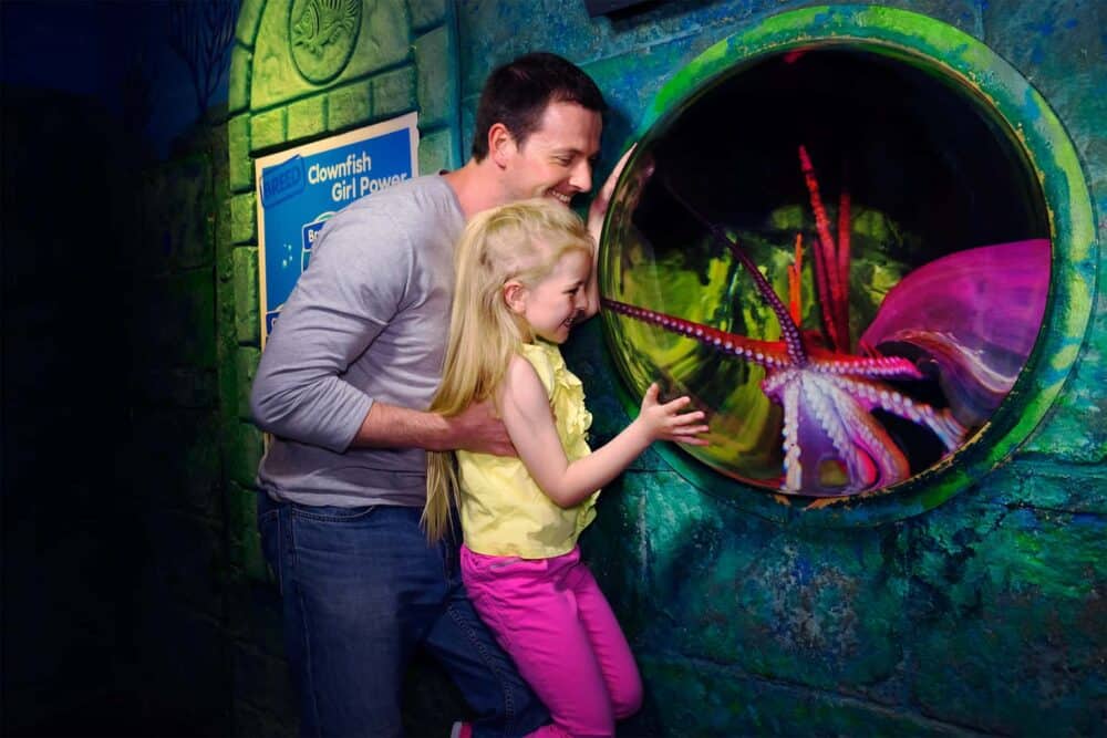 Discover Sea Life’s Stars of the Sea experience this February Half Term