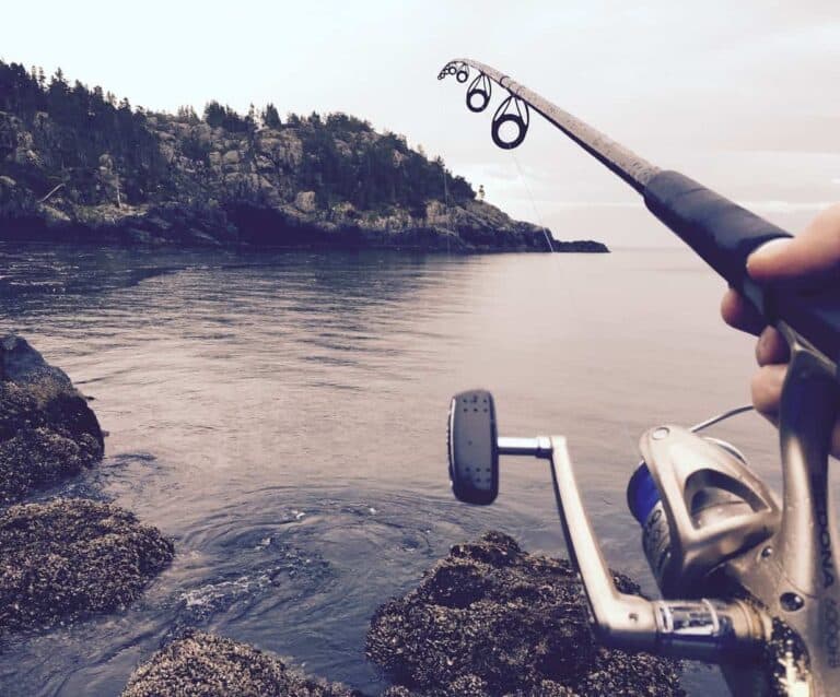 A person in a boat on a body of water