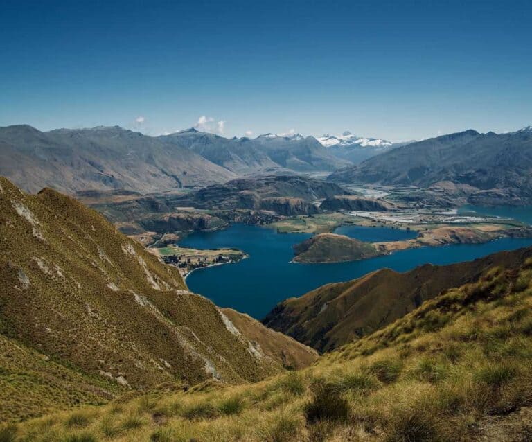 A close up of a hillside with a mountain in the background