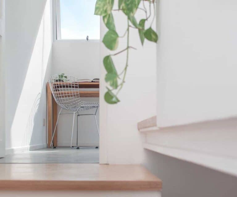 A vase with flowers in front of a window