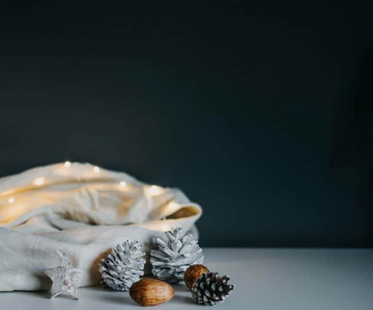 A close up of food on a table