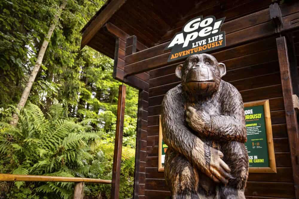 5 must-do family days out in Loch Lomond