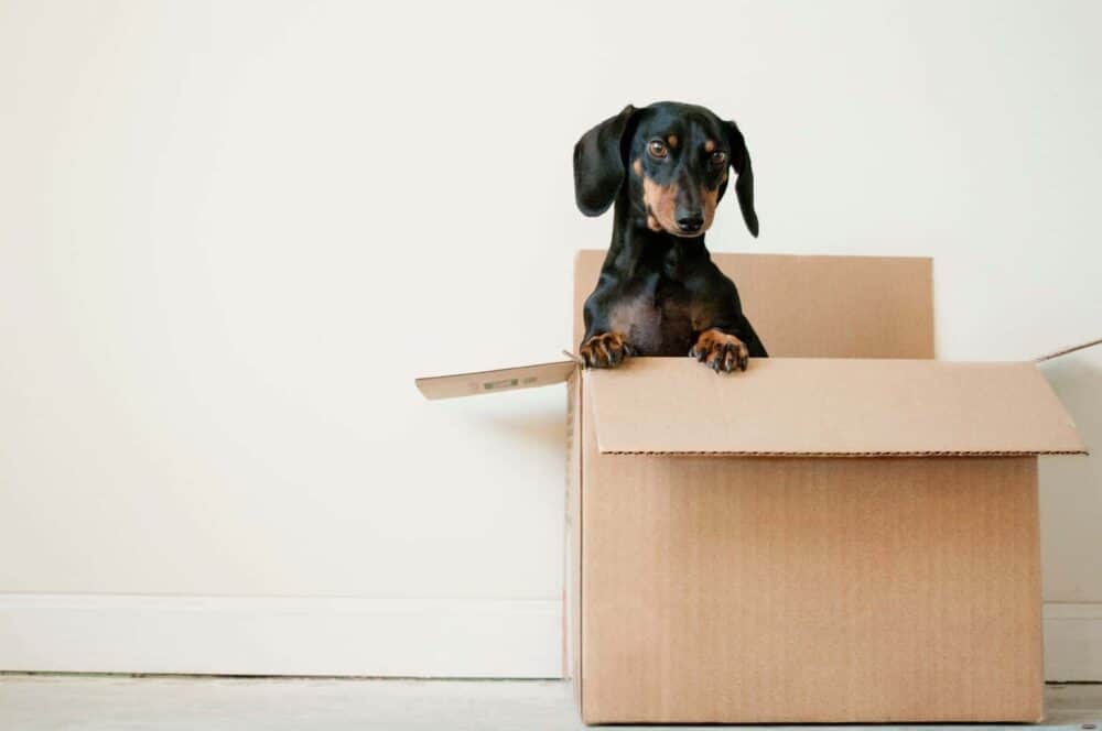 Moving home | What you need to consider when hiring a van