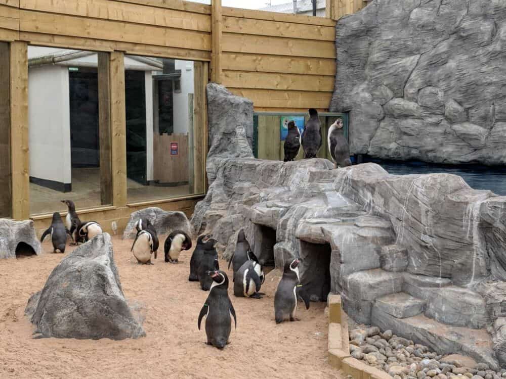 5 Family-friendly attractions to visit in Norfolk with the kids this half term