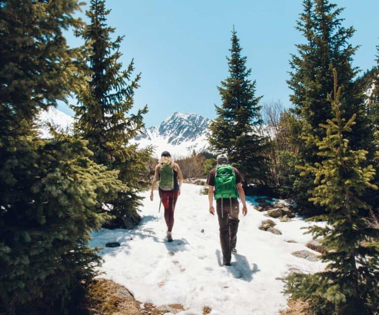 A person cross country skiing in the forest