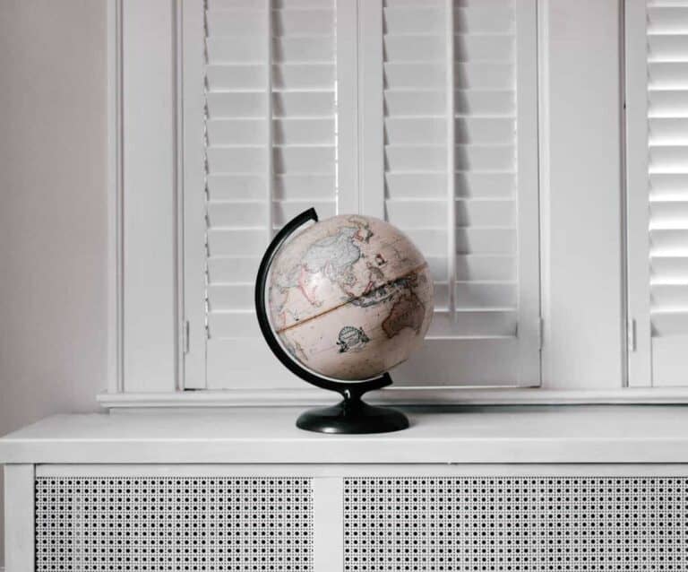 A cat sitting in front of a window