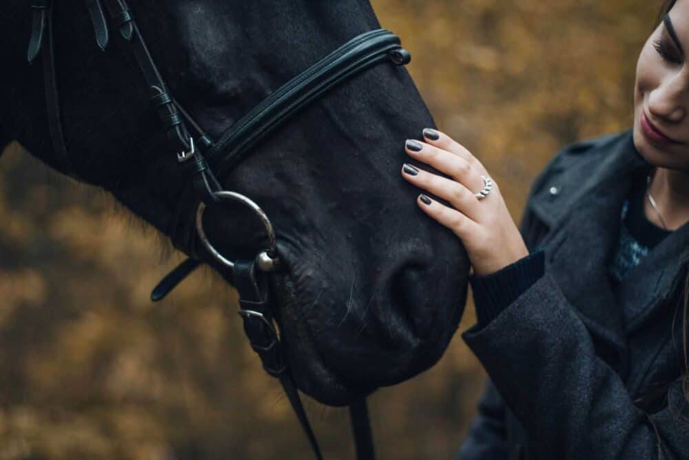 How to Transition from Riding in Winter to Riding in Spring
