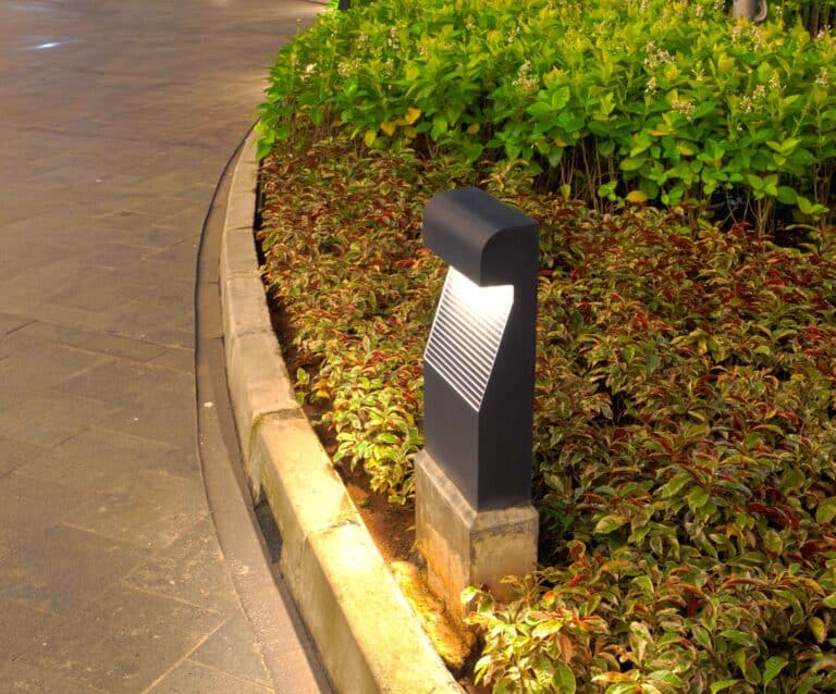 A box of green grass