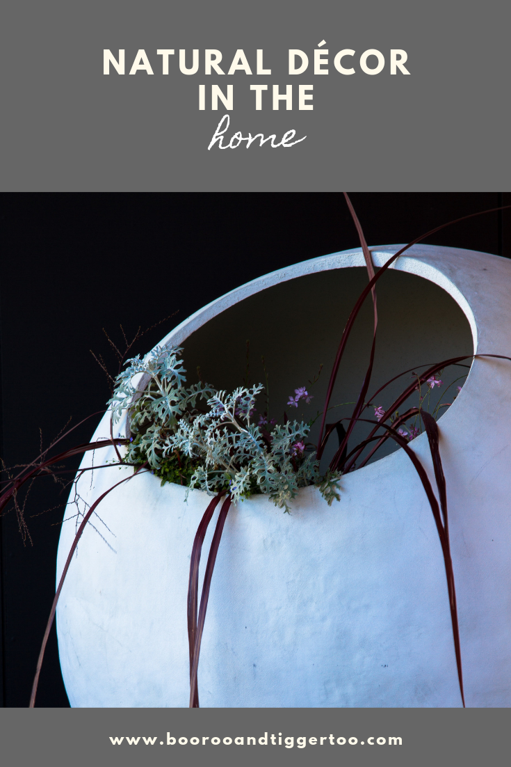 A close up of a flower