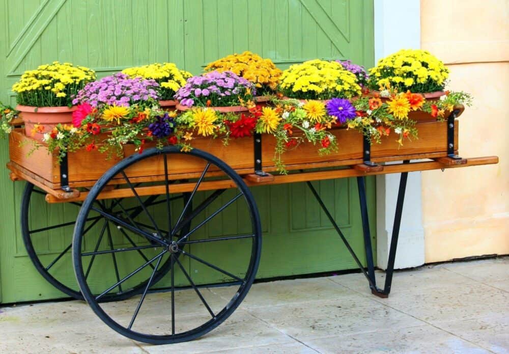 Creating an Awesome Backyard Space: Top Tips for Outdoor Decor