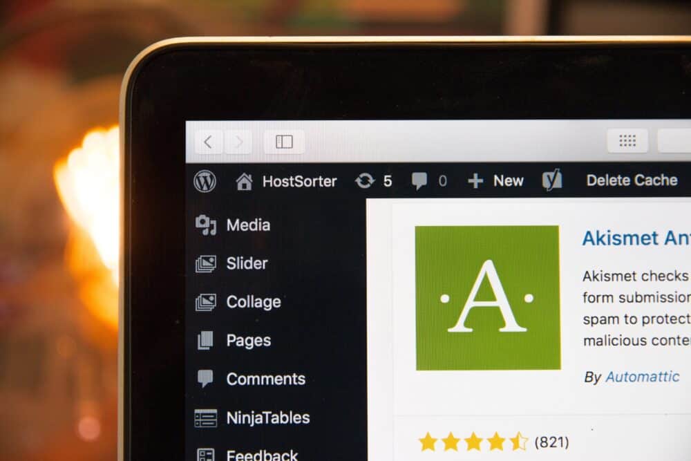 Blogging 101 | WordPress Plugins: How Many is Too Many?