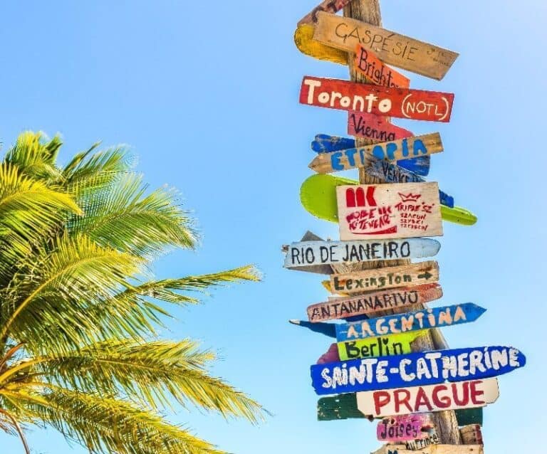 A sign next to a palm tree