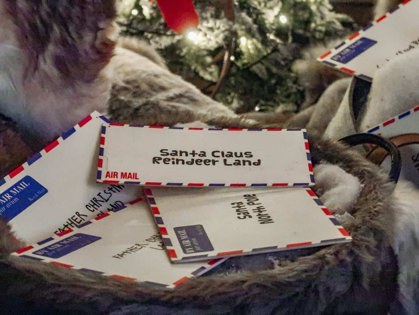 A cat sitting on top of a book