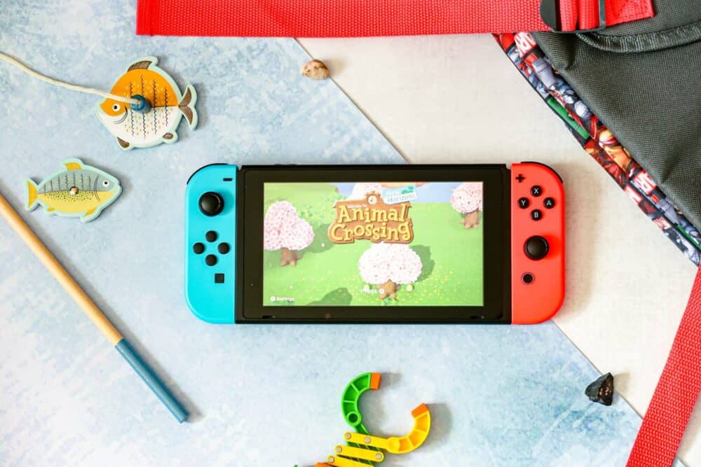 Nintendo Switch | Animal Crossing: New Horizons