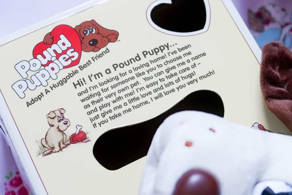 Pound puppies