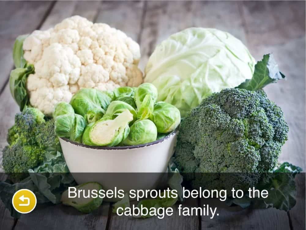 vegetables - Brussels sprouts belong to the cabbage family