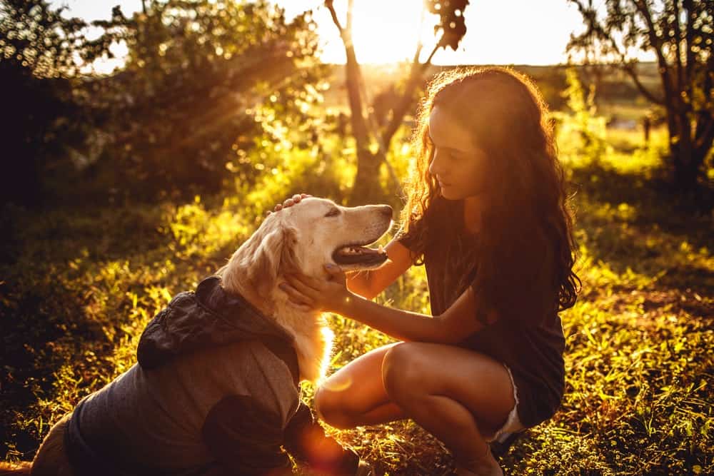 Best dogs for a young family - Golden retriever