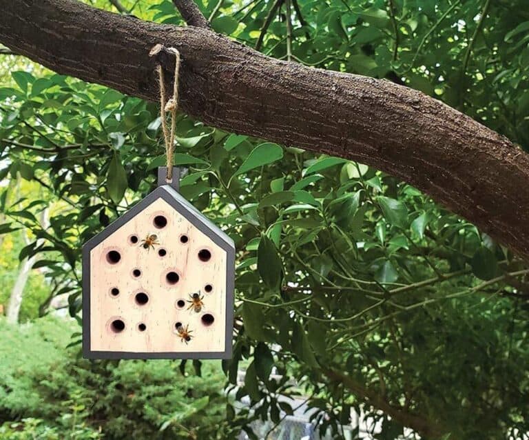 Little Homes for Butterflies, Birds, and Bees