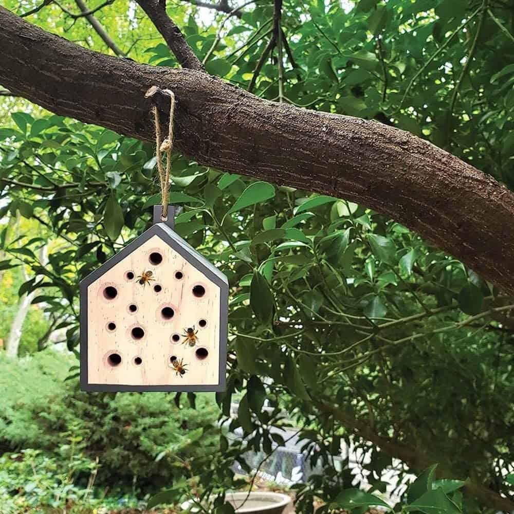 Little Homes for Butterflies, Birds, and Bees
