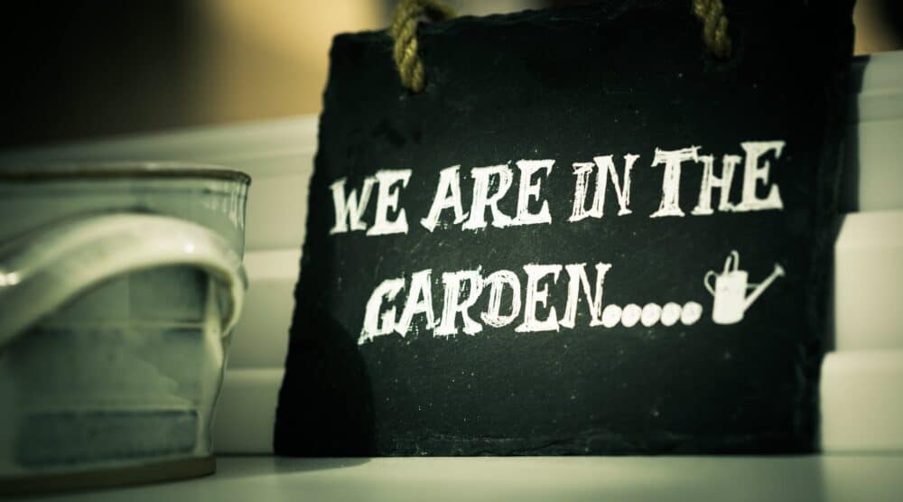 Make your garden a usable space this year