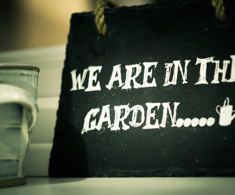 make your garden a usable space in time for summer | we are in the garden sigange