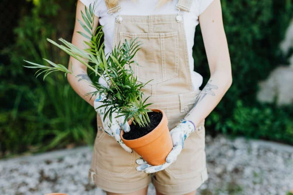 Green finger 101 – How to design a garden that is both stunning and practical