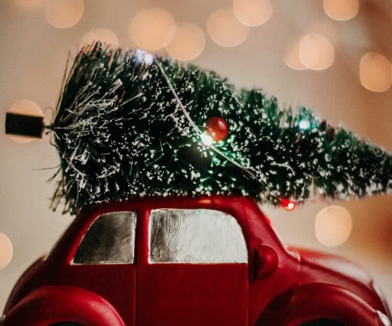 I know it may seem like it is too early to start talking about Christmas, but as we are rapidly approaching a change of season once more, December will be here before we know it. It got me thinking about the Christmas period. The mad rush to buy gifts, the worry and anxiety about cooking up the big family meal, and even the lead-up and all the events that go with it. It can be such a crazy time, but also one of the best times of the year, don’t you think?