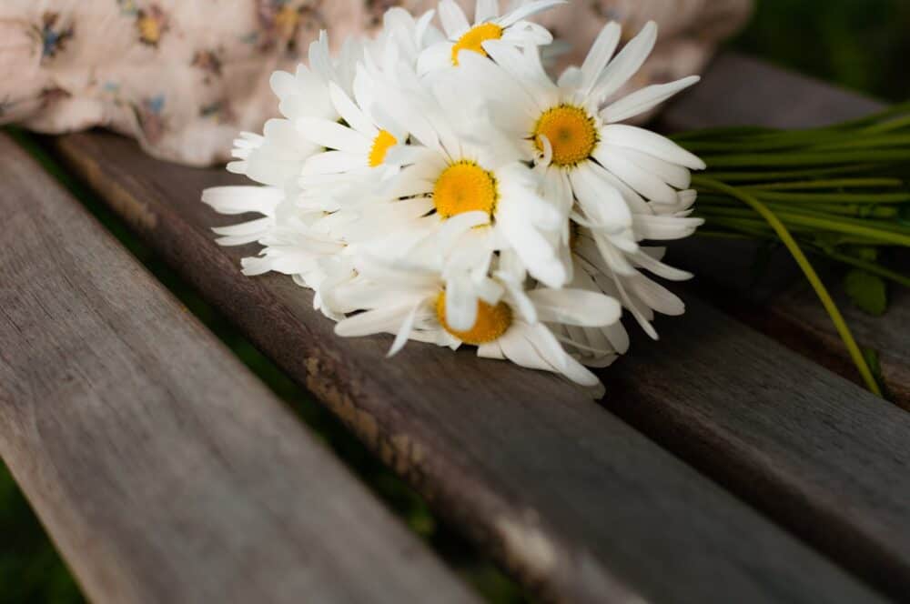 Sweet Mother’s Day Quotes