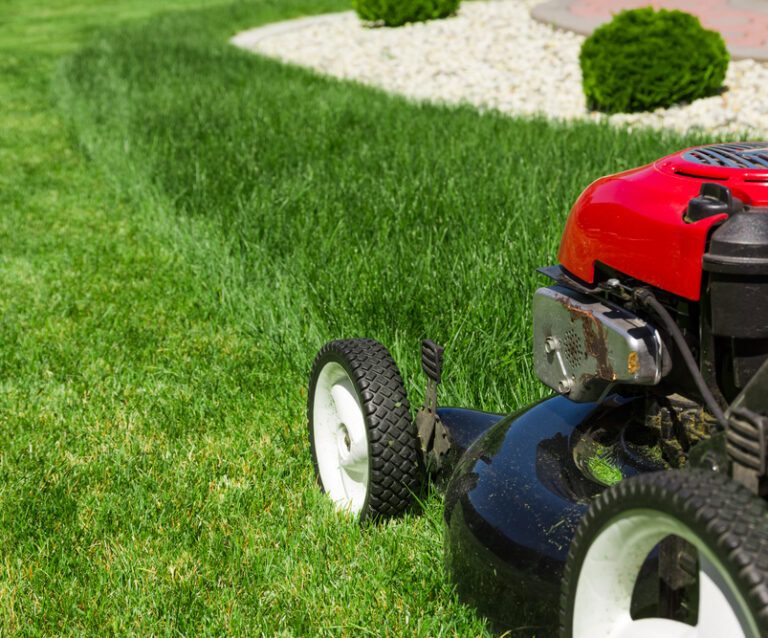 Top Maintenance Tips to Achieve a Year-Round Stunning Lawn