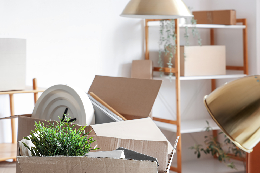 Top Tips for Packing: Essential Strategies for a Smooth Move