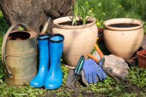 Garden Maintenance Tasks You Should Never Neglect