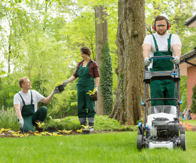 The Benefits of Professional Lawn Care Services