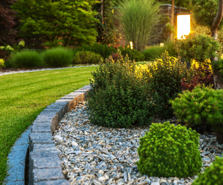 What Every Homeowner Needs to Know About Landscape Management