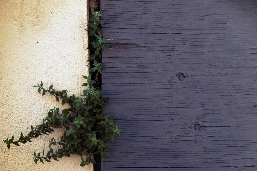 Family-Friendly Home Upgrades: Stucco Remediation and Safe Outdoor Play Spaces